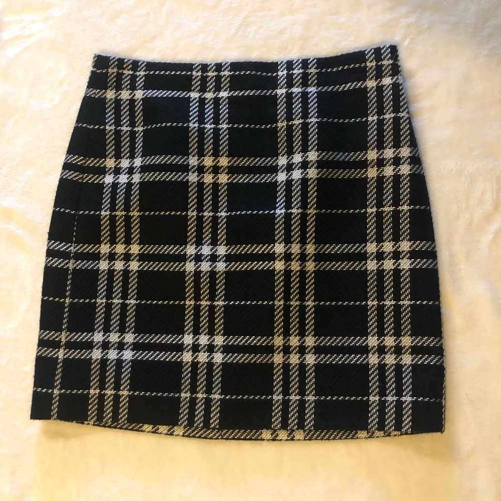J.Crew Skirt